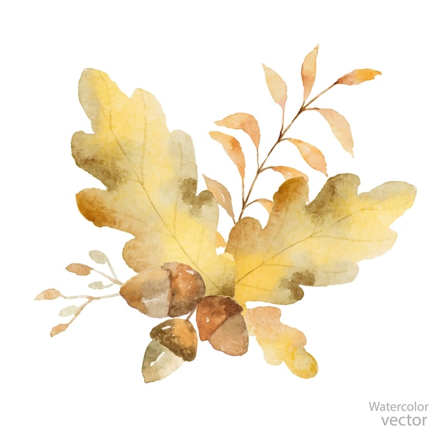 Aquarel vector herfst boeket van takken en eikenbladeren geïsoleerd op een witte achtergrond