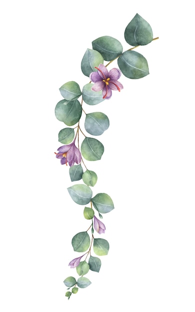 Aquarel vector krans met groene eucalyptus bladeren paarse bloemen en takken