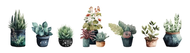 Vector aquarel vector set van cactus en succulente plant illustratie