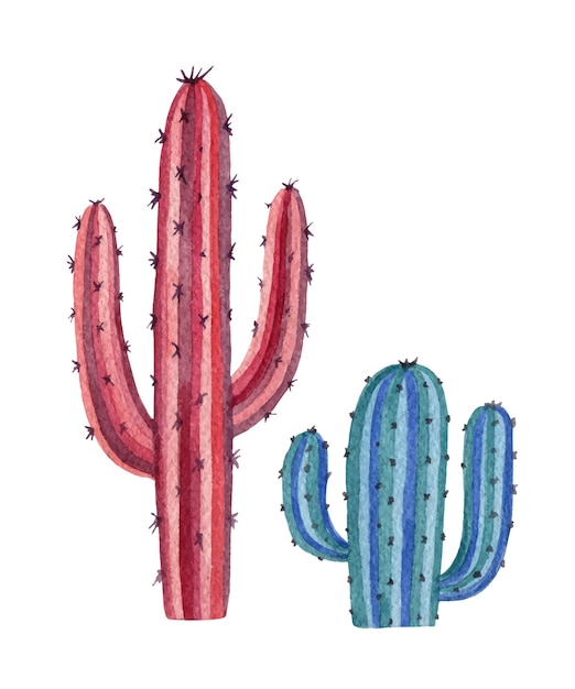 Aquarel vector set van cactussen en vetplanten geïsoleerd op een witte achtergrond