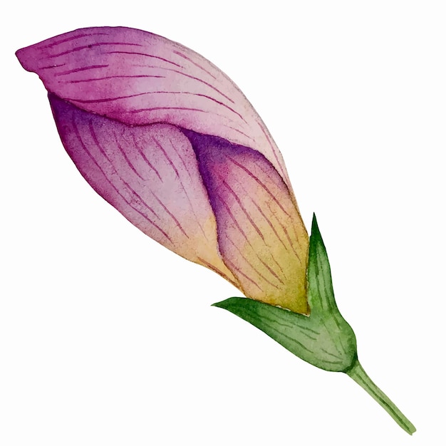 Vector aquarel vectorbloemen