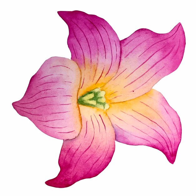 Vector aquarel vectorbloemen