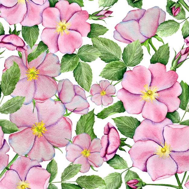 Aquarel vectorillustratie. Naadloos patroon met rozenbottelbloemen en bladeren