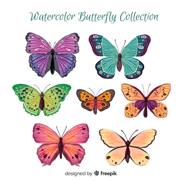 Aquarel vlinder collectie
