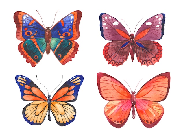 Aquarel vlinders illustratie