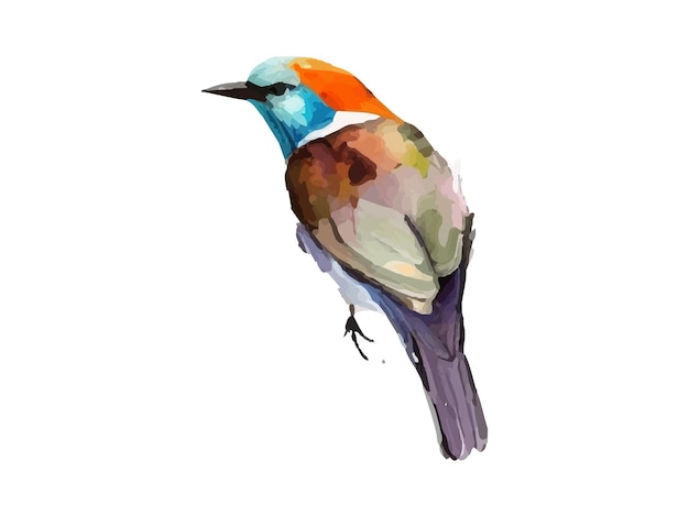 Vector aquarel vogel en mus vectorillustratie realistische hand getekend schilderij