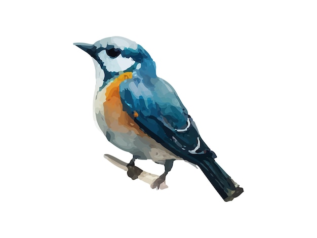 Aquarel vogel en mus vectorillustratie Realistische hand getekend schilderij