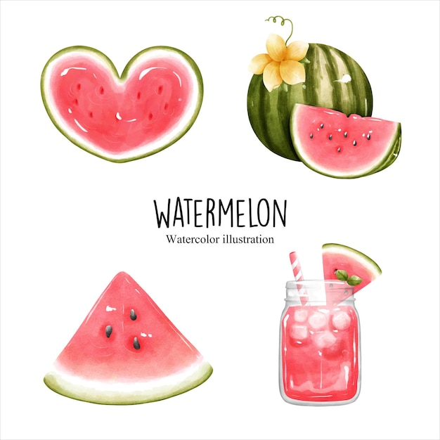 Aquarel watermeloen fruit vectorillustratie