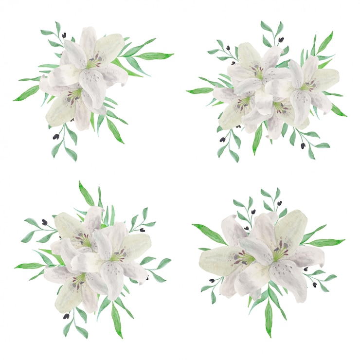Vector aquarel witte lelie boeket collectie