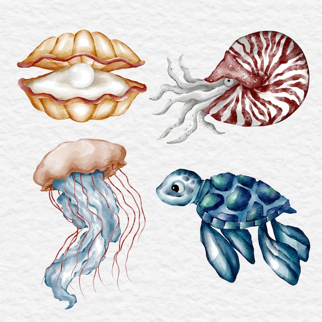 Aquarel zee dier illustraties collectie