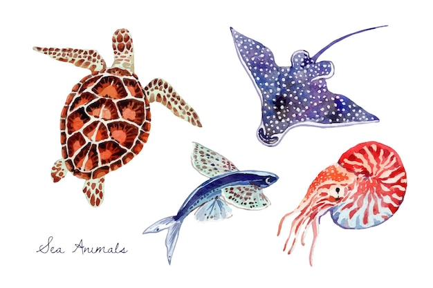 Aquarel zeedieren collectie