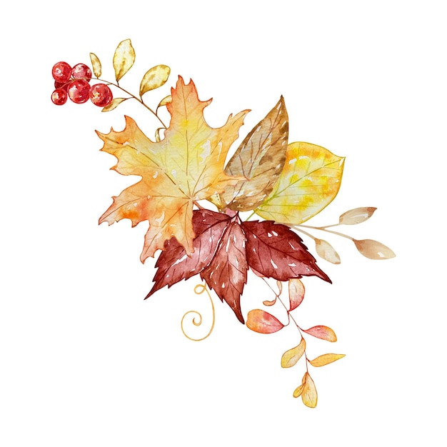 Aquarelboeket, botanische illustratie, herfstsamenstelling, van heldere herfstbladeren en bessen op een witte achtergrond