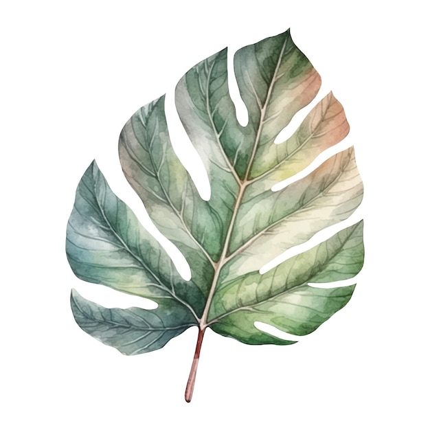 Vector aquarelillustratie van een tropisch blad ai-illustratie