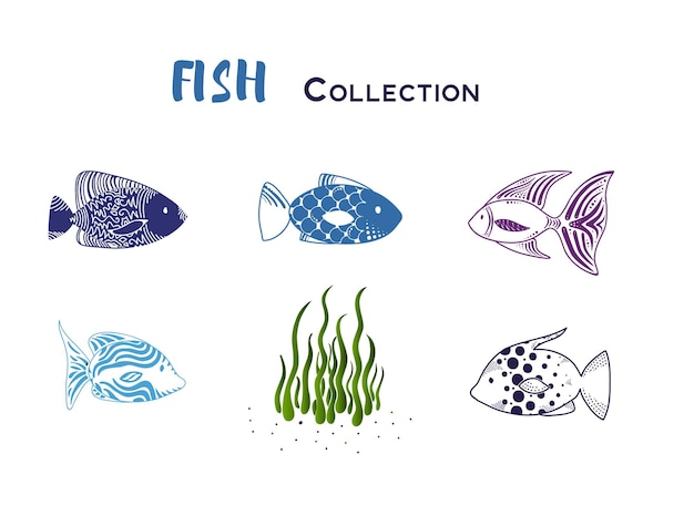 Aquarell Fish Collection