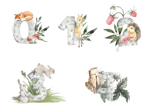 Aquarelnummers van 0 tot 4 met wilde dieren en bloemen