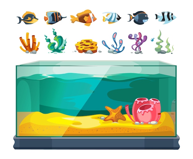 水族館バンドル。エキゾチックな魚、海藻、サンゴ。漫画のガラスのウォーターキューブ、孤立した海の生物や水中ベクトル要素