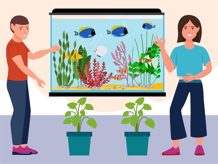 वेक्टर aquarium concept illustration stylish and beautiful