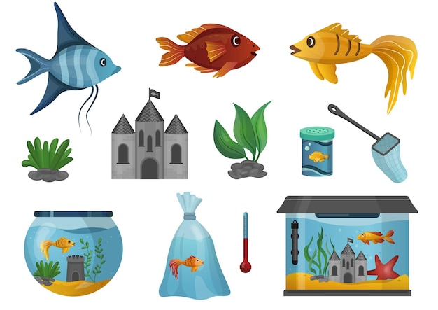 Aquarium and fish set in cartoon style Pet shop Vector illustration