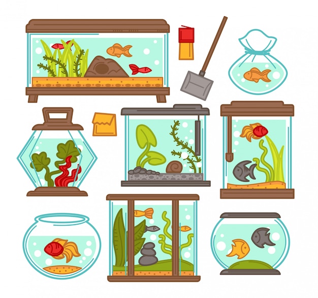 Aquarium fish tank vector elements