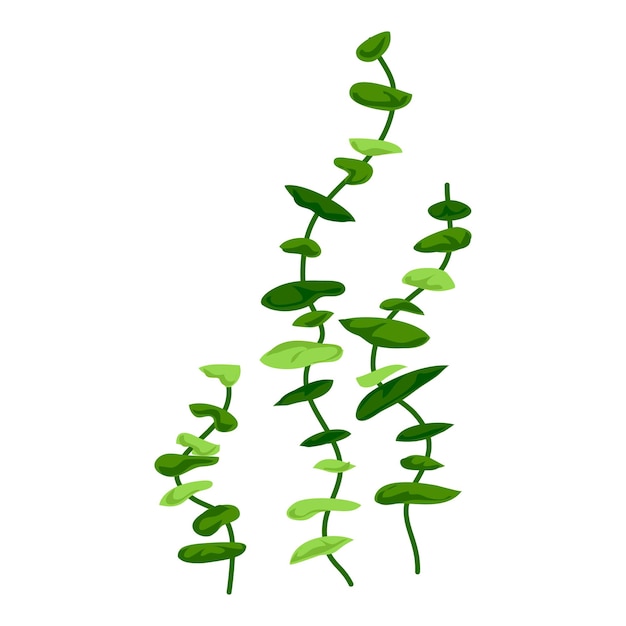 Вектор Иконка длинных растений в аквариуме мультфильм о векторной иконке длинных растений в аквариуме для веб-дизайна, выделенной на белом фоне