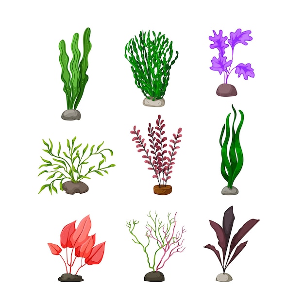 Aquarium plant set cartoon vector illustration