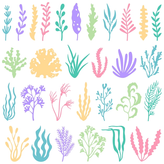 Vector aquarium seaweed silhouette. underwater planting plant and seaweeds for aquariums decor. sea plants vector set