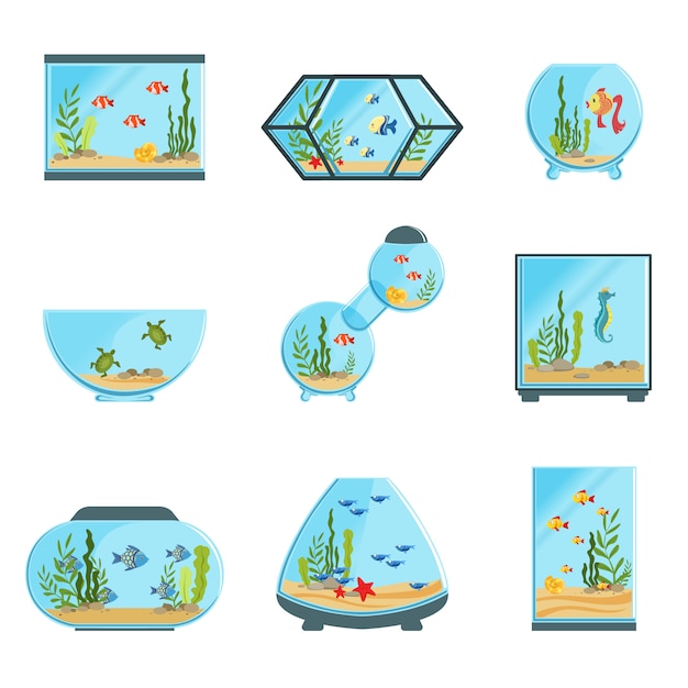 Set di carri armati dell'acquario, diversi tipi di acquari con piante e pesci illustrazioni dettagliate su sfondo bianco