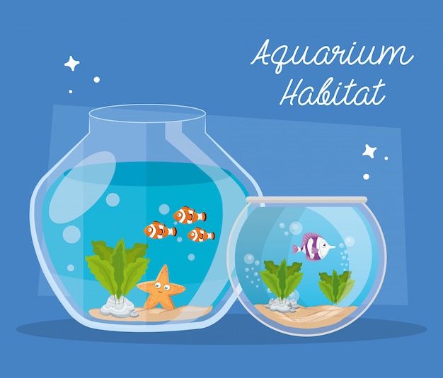 Aquariums fishes with water, aquariums marine pets