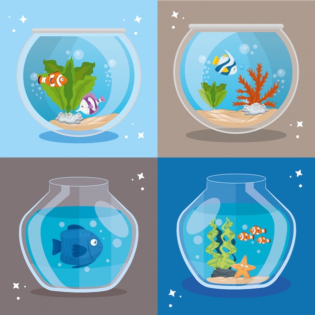 aquariums fishes with water, aquariums marine pets