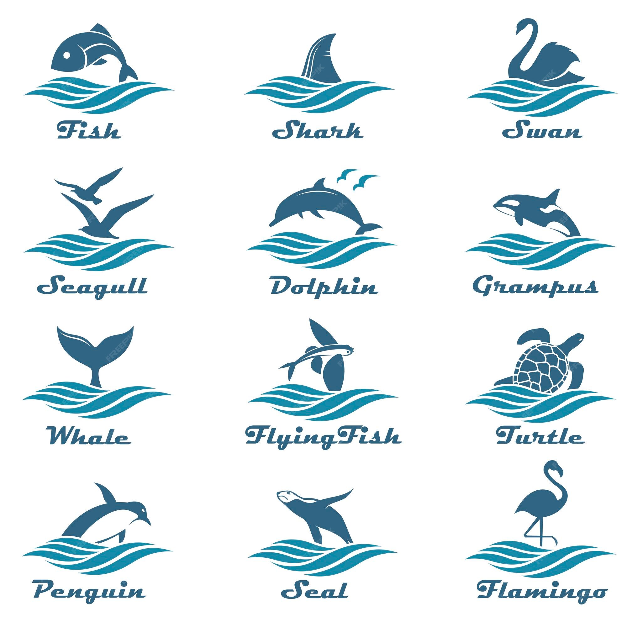 Premium Vector | Aquatic animals set