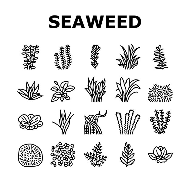 Vector aquatic seaweed natural plant icons set vector