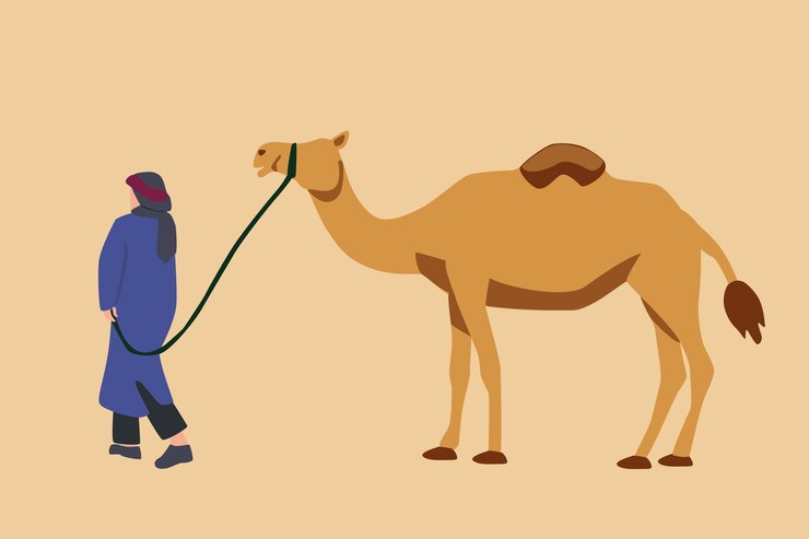 Vector an arab woman with a camel walking while wearing traditional clothing illustration