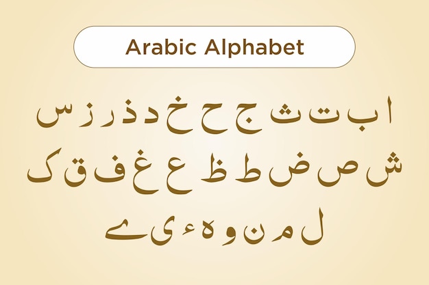 Vector arabic alphabet calligraphy quranic fonts style