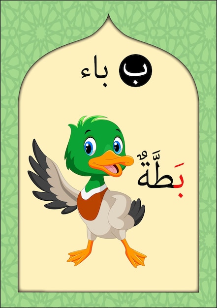 Arabic Alphabet Flashcard for Kids and Children with letter Baa