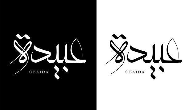 아랍어 서예 이름 번역된 'Obaida' 아랍어 문자 알파벳 글꼴 레터링 이슬람 벡터