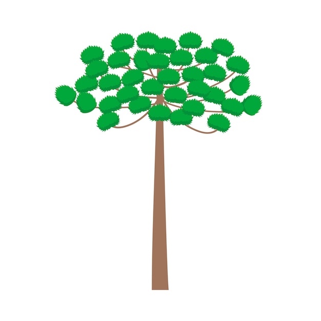 アラウカリアの木のデザイン ベクトル フラット モダン 白い背景に隔離