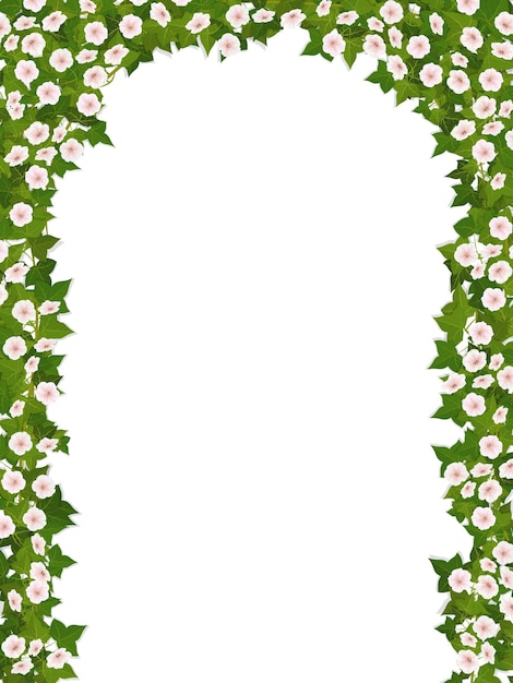 The arch of climbing plant with flowers on a white background