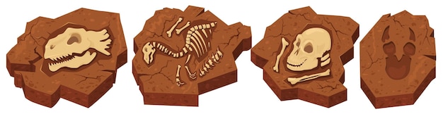 Archeological fossils in stone with different prehistoric dinosaurs