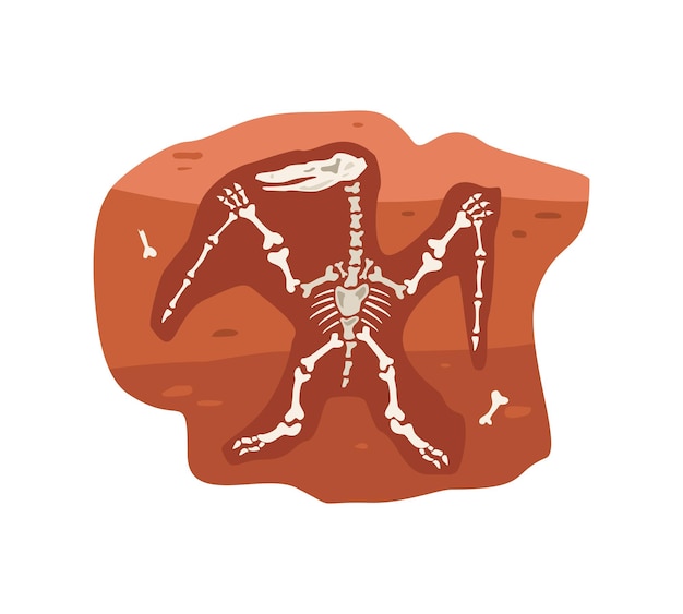 Vector archeologisch fossiel met dinosaurussen skelet platte vectorillustratie geïsoleerd