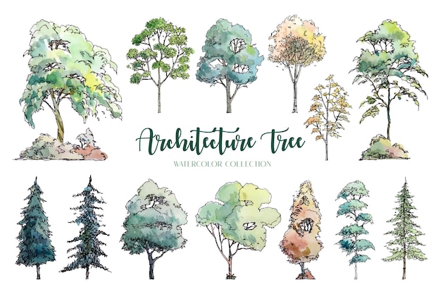 Architecture Tree Watercolor Collection 1.