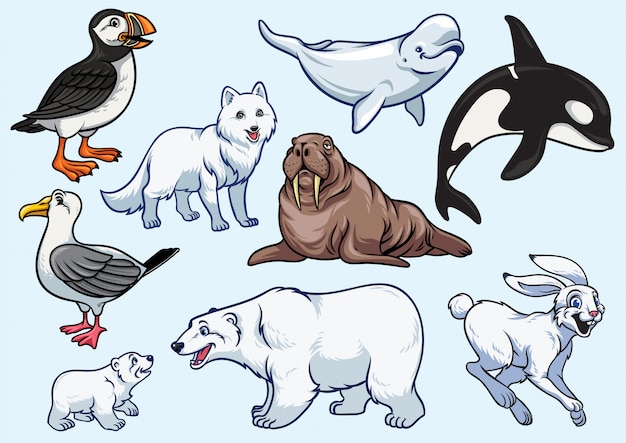 Набор арктических животных