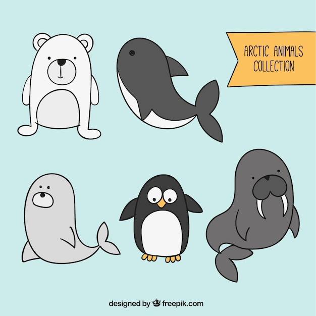 Vector arctic animals collection