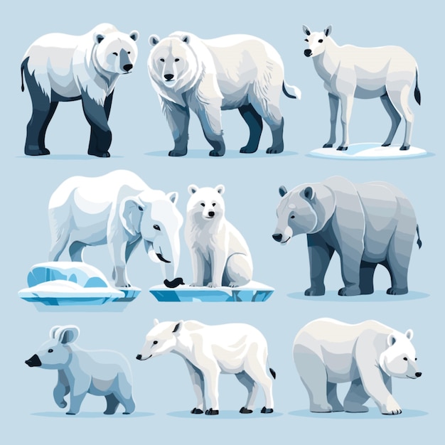 Vector arctic animals vector on white background