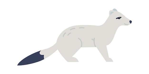 Arctic fox wildlife animal vector illustration