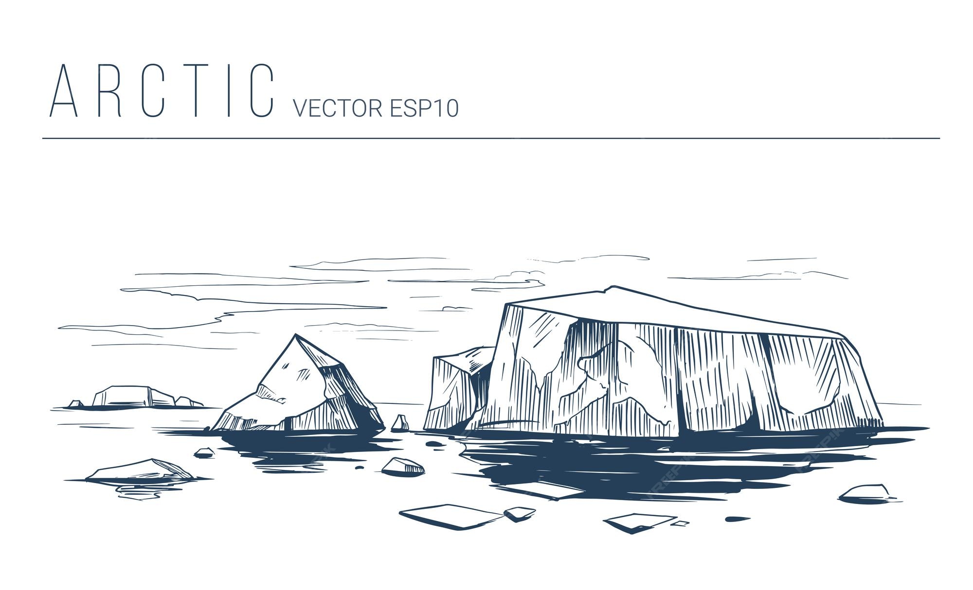 Premium Vector | Arctic landscape. line art illustration. northern nature  with sea, ice and icebergs
