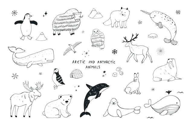 Arctische dieren vector illustraties set