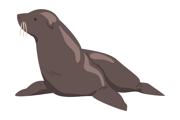 Arctische zeehonden Wilde polaire zeezoogdieren Cartoon Vector Illustratie