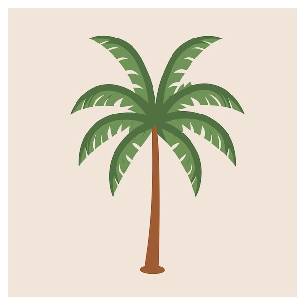 Areca Palm tree vector