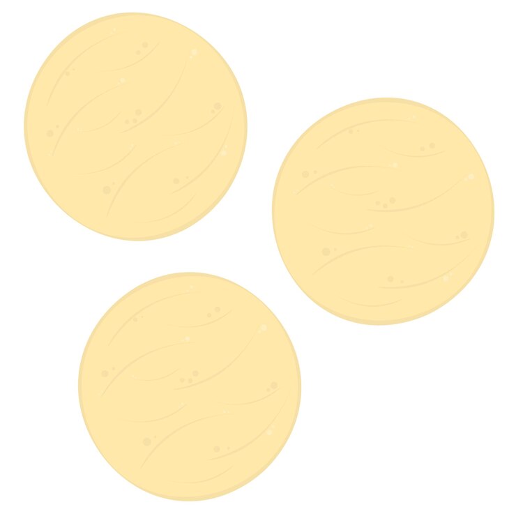 Vector arepas bread on a plate colombian food vector illustration