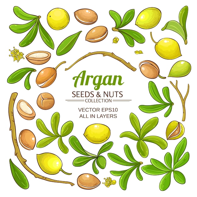 Vector argan elements vector set on white background